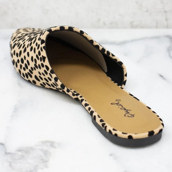 🎉 HP 🎉 NIB Suede Spotted Mules - Picture 3 of 10